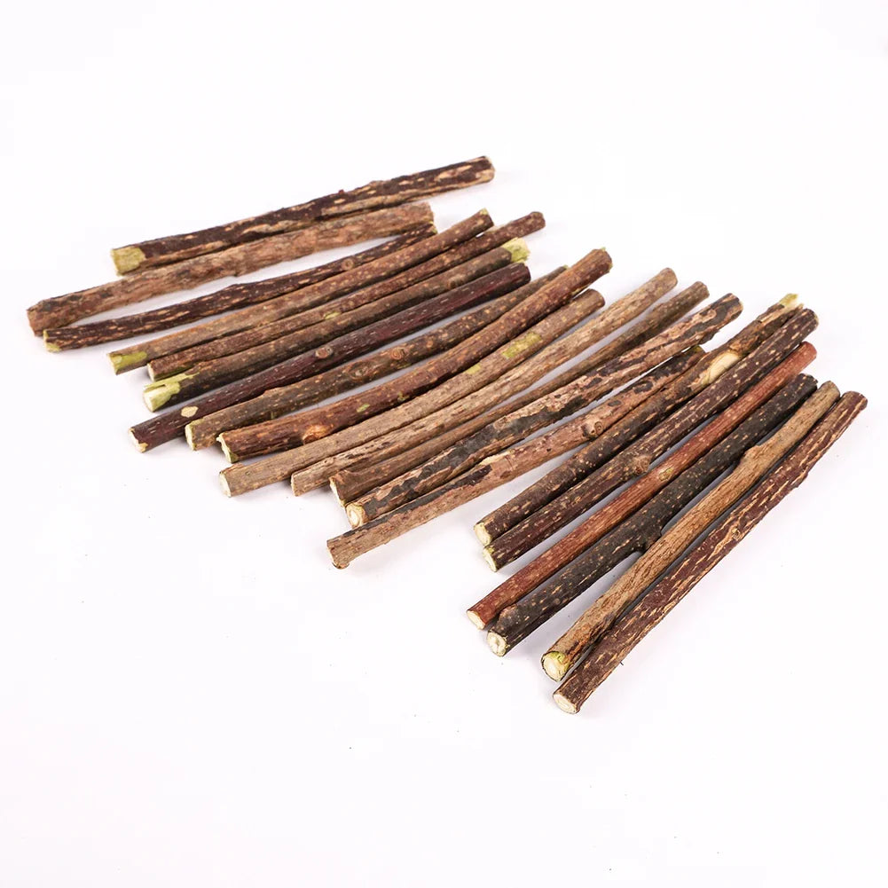 Catnip Chew Sticks Silvervine Natural Molar ๐ฟ