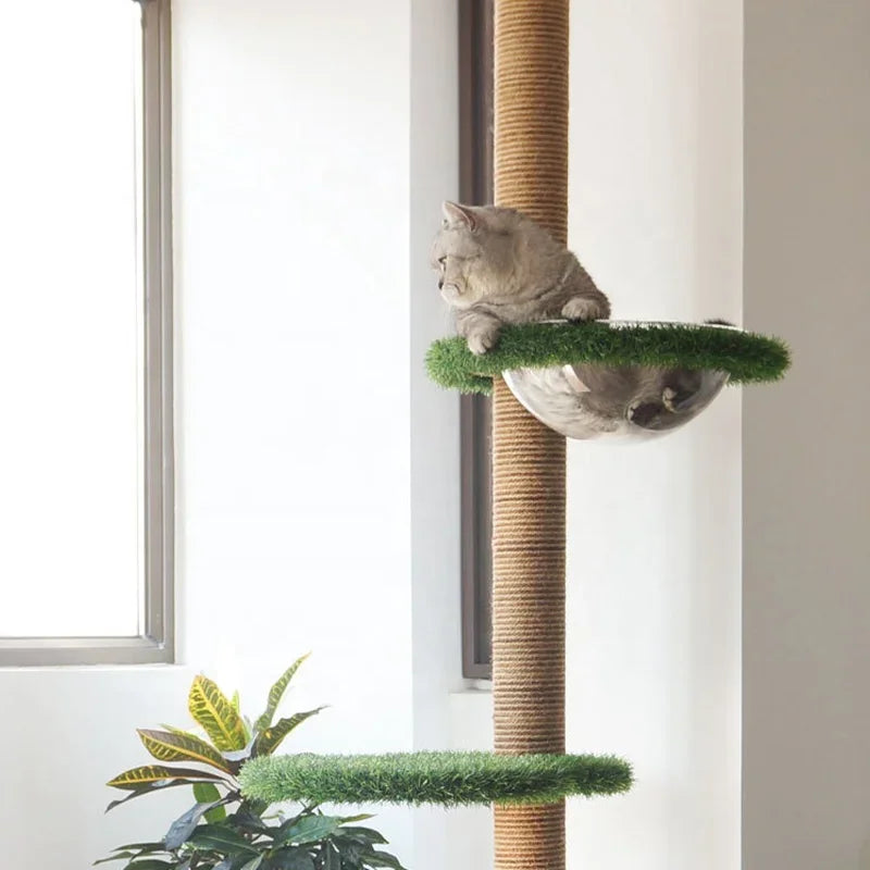 Cat Tree Floor To Ceiling Height Adjustable Tall 🐱