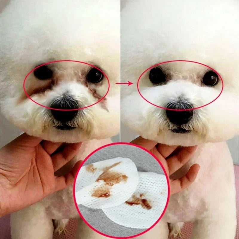 Pet Eye Wipes 130 Pcs Dog Cat Tear Stain Remover 4oz ๐๏ธ