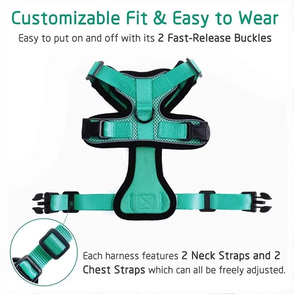 Escape-Proof Cat Harness & Leash Set - Purrfect Pet Kingdom