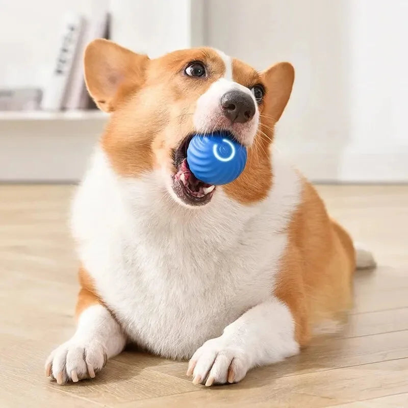 Dog Toy Ball Smart Auto Bouncing USB ⚽