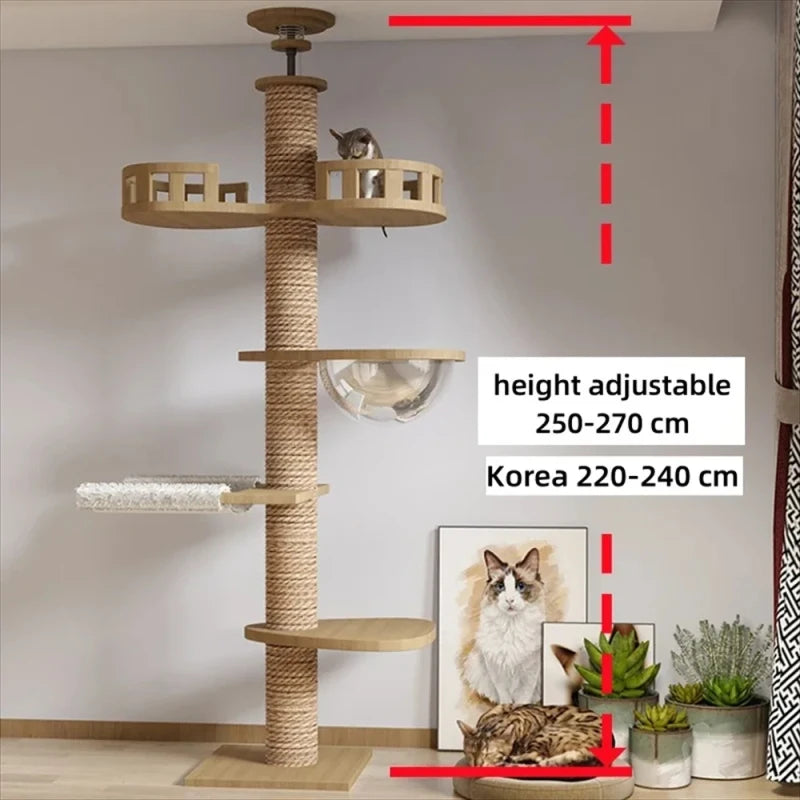 Multi Layer Solid Wood Cat Climbing Frame ๐ฑ