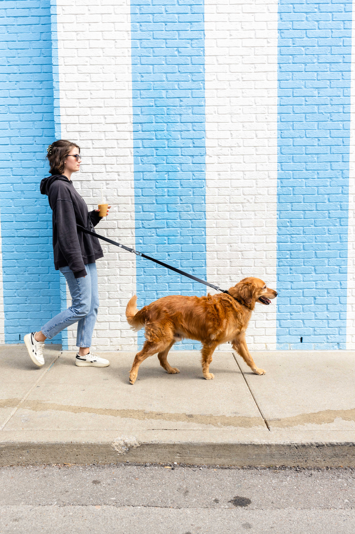 Dog Leash Extension In Black