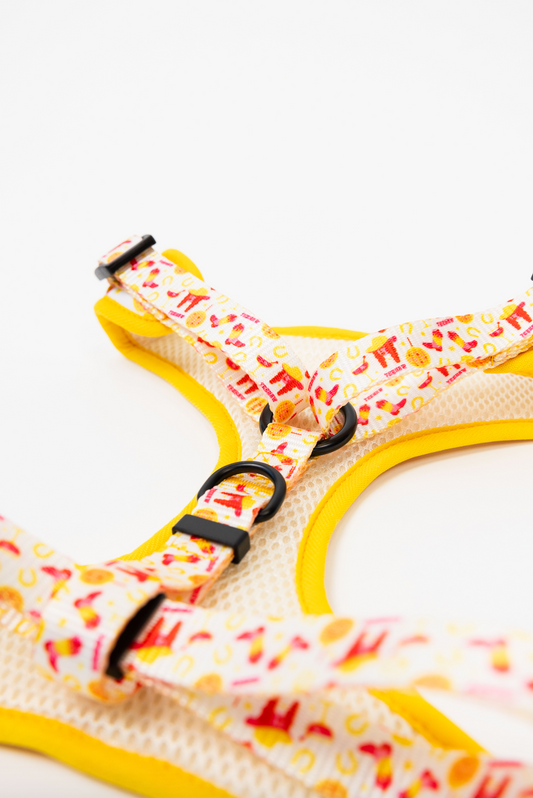 Purrfect Pet Kingdom The Modern Dog Company - Yeehaw Harness (Small) - Premium Product