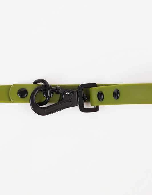 The Modern Dog Company - Olive Green Adjustable Leash Dog Collar
