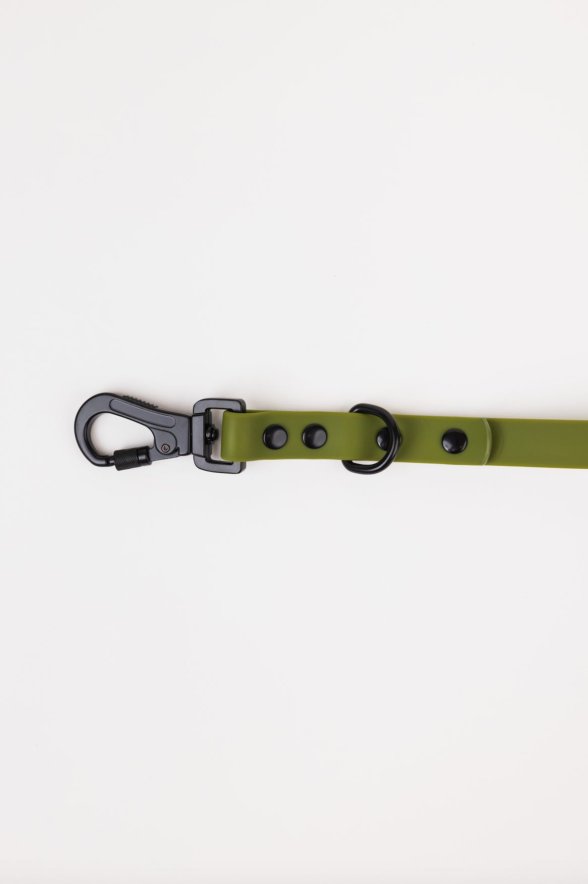 Dog Leash Accessory Olive Green Adjustable Everyday Essentia - close up product image for dog leash