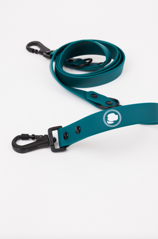 Purrfect Pet Kingdom The Modern Dog Company - Forest Green Adjustable Leash (Large) - Premium Product