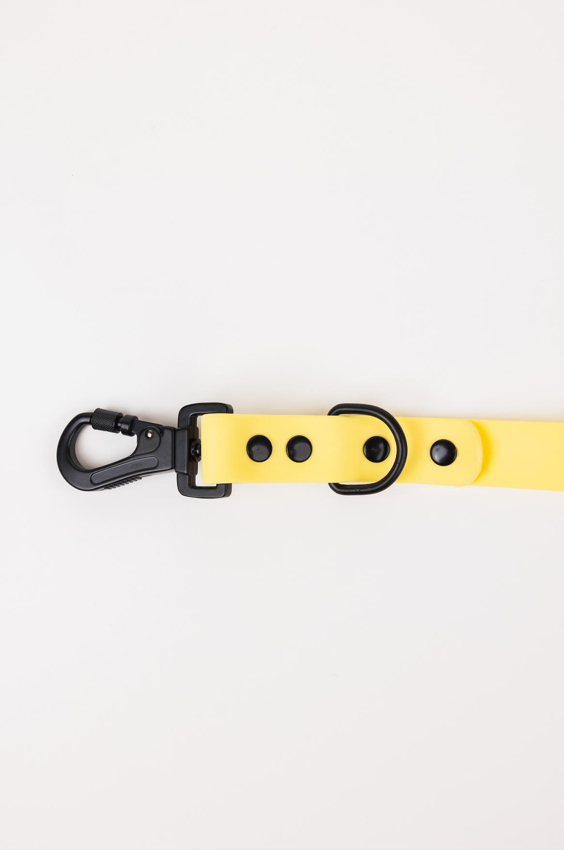 Dog Leash Daffodil Yellow Adjustable 60in 3 Lengths