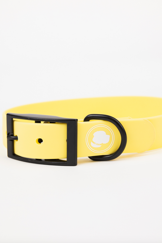 Dog Collar Daffodil Yellow Weather Odor Resistant