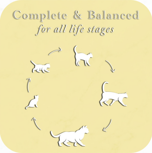 Fussie Cat Fine Dining - Pate - Chicken Entree in gravy (2.82oz)