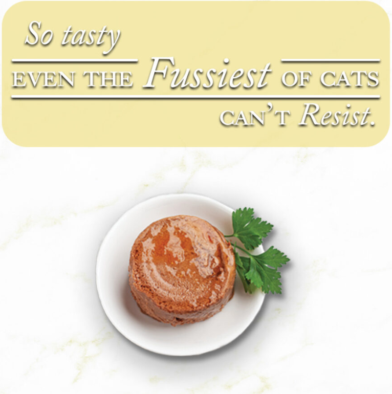 Fussie Cat Fine Dining Pate Chicken Entree In Gravy 2 82Oz - lifestyle view