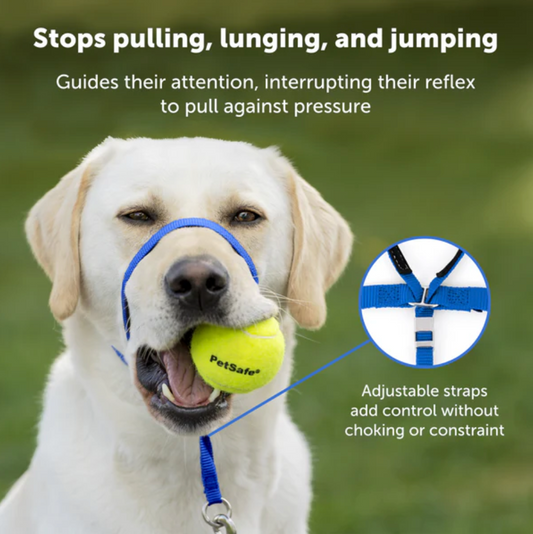 Petsafe Gentle Leader Headcollar No Pull Dog Collar 92645 - detail view