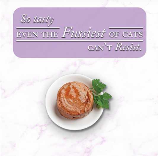 Fussie Cat Fine Dining - Pate - Mackerel with Beef Entree in