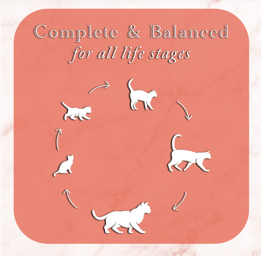 Fussie Cat Fine Dining - Pate - Sardine with Chicken Entree in gravy (2.82oz) - Fussie Cat Wet Cat Food - The Family Pet