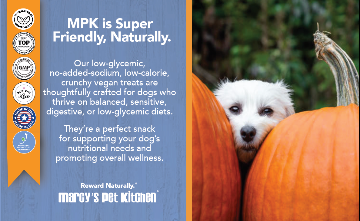 Marcy's Pet Kitchen- All Natural, Vegan Pumpkin Biscuit Dog Treats - Homemade-Vet Approved- Vegan, Gluten Free, Human Grade Ingredients, Made in The USA, Healthy Pumpkin Dog Treats - Purrfect Pet Kingdom