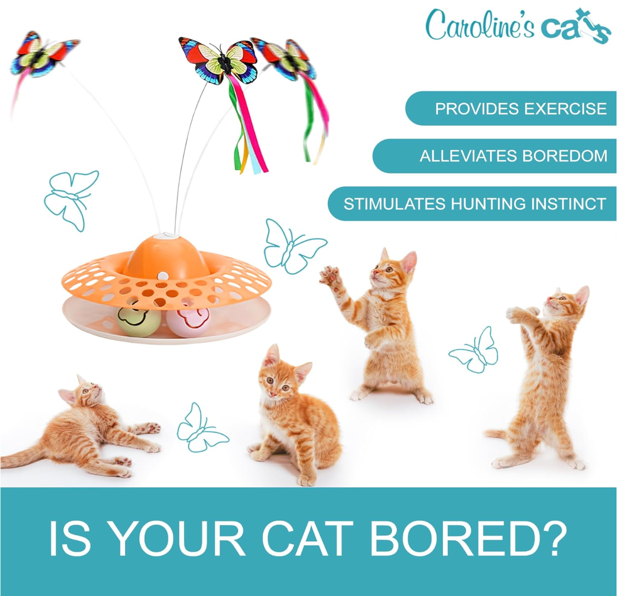 Caroline's Cats Automatic Butterfly Cat Toy – Interactive 2 in 1 with Auto Shut Off & Catnip Ball Track; Recommended Electric Exercise & Enrichment Game