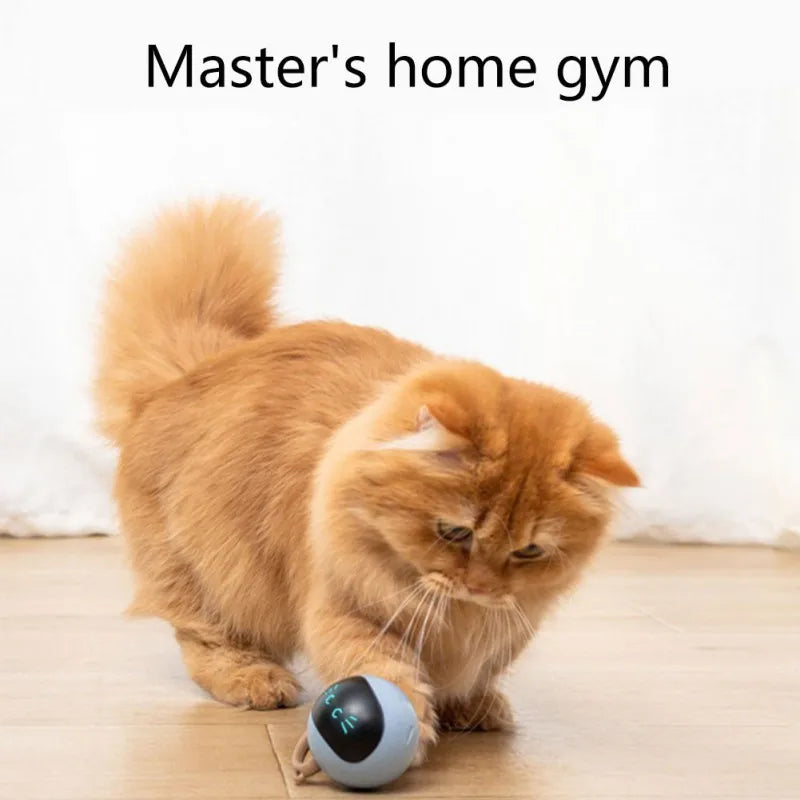 Interactive Cat Toy LED Self Rotating Smart Ball ๐ฑ