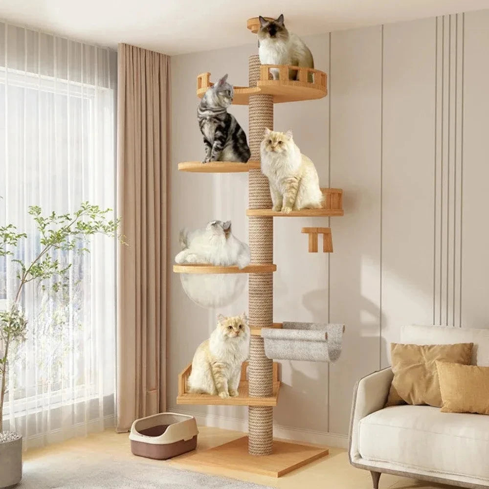 Multi Layer Solid Wood Cat Climbing Frame ๐ฑ