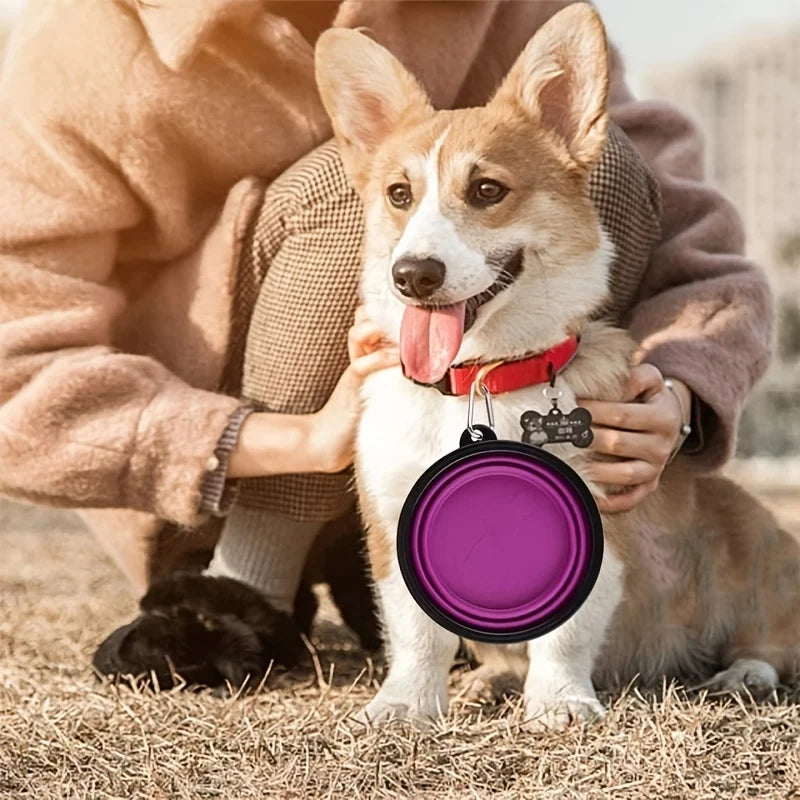 Portable Pet Food Bowl - Collapsible Silicone Travel Water Food Bowl