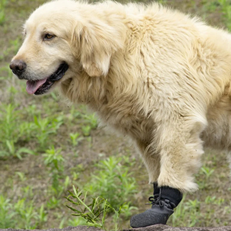 No-Fall-Off Summer Dog Shoes - Breathable Soft Sole Puppy Footwear