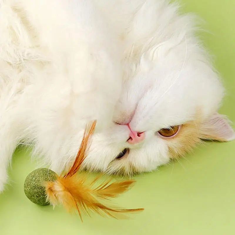 Cat Catnip Toy Feather Ball Teeth Cleaning ✅
