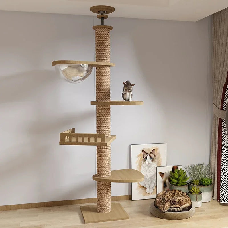 Multi Layer Solid Wood Cat Climbing Frame ๐ฑ