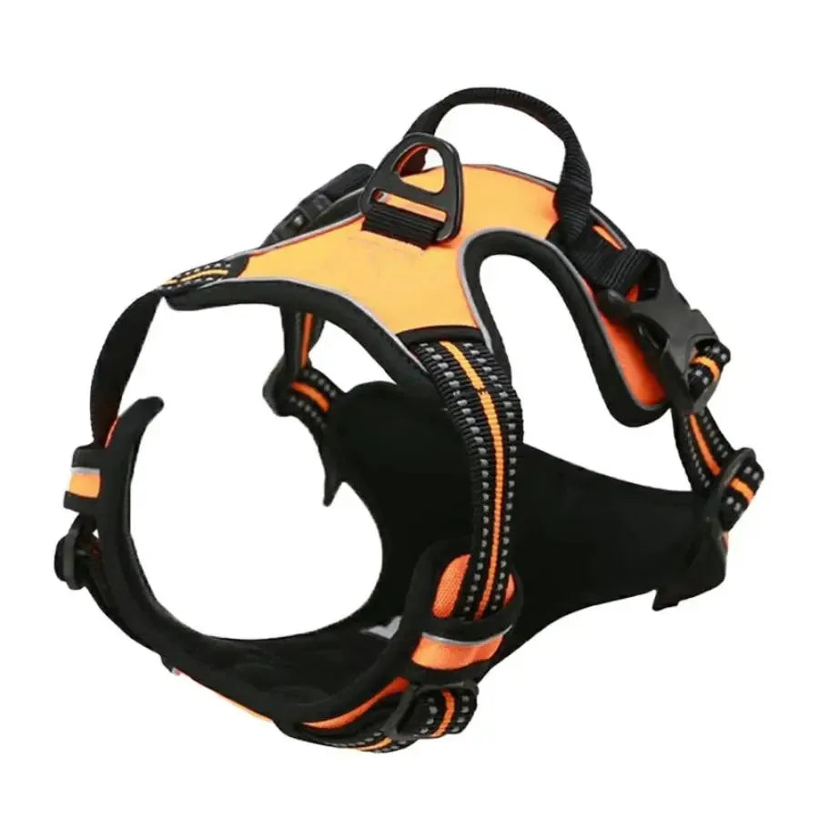 Dog Collar, Harness & Leash Set – Leather for Small & Medium Dogs