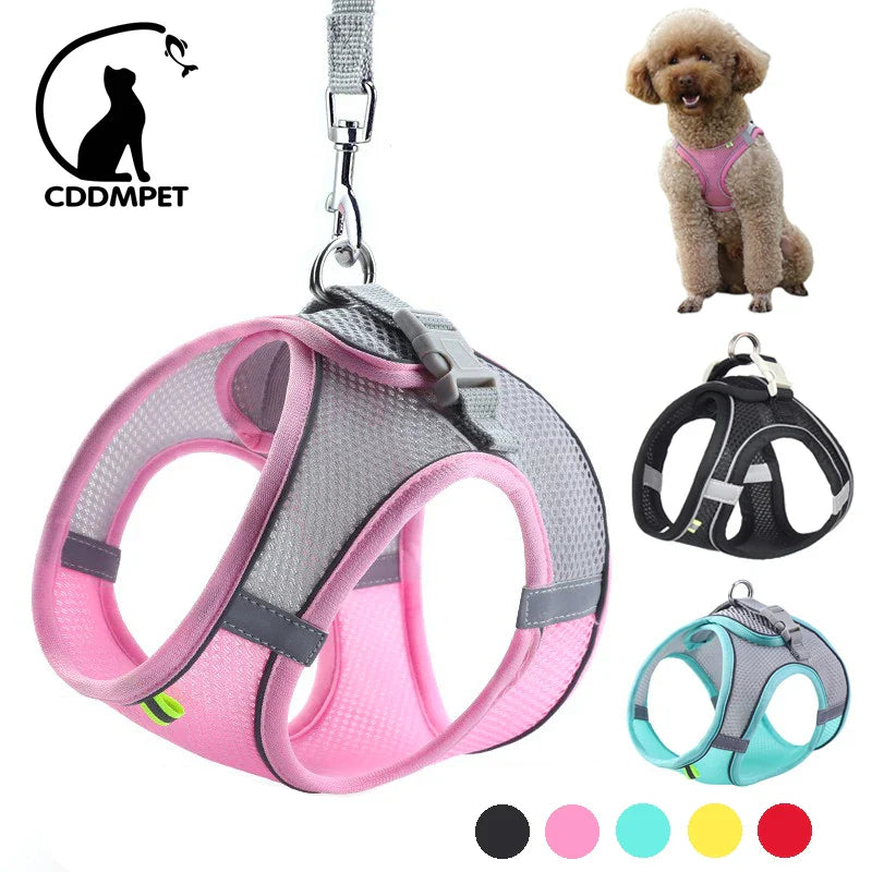 Small Dog Harness Set - Purrfect Pet Kingdom