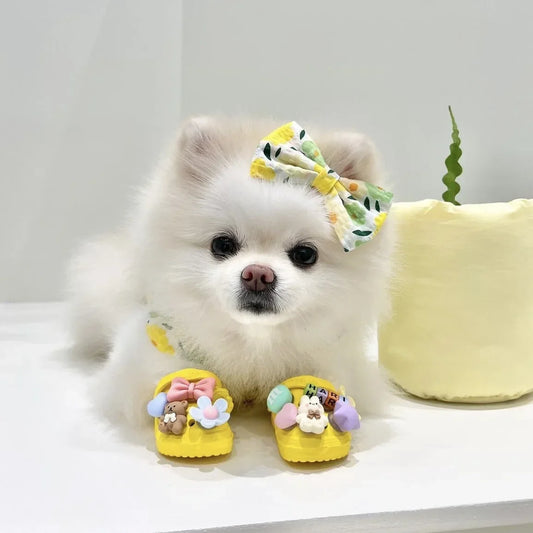 ๐๏ธ Trendy Pet Beach Shoes - Instagram-Worthy Breathable Paradise with DIY Charm