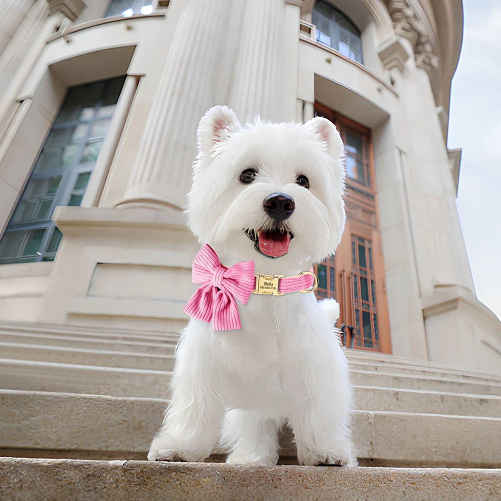 Glamorous Custom Engraved Cat Collar - Purrfect Pet Kingdom