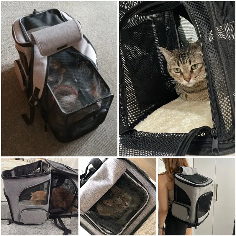 Dog Cat Expandable Travel Backpack Carrier