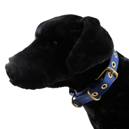 Dog Collar Adjustable Everyday Wear Medium Classic Premium - detail view