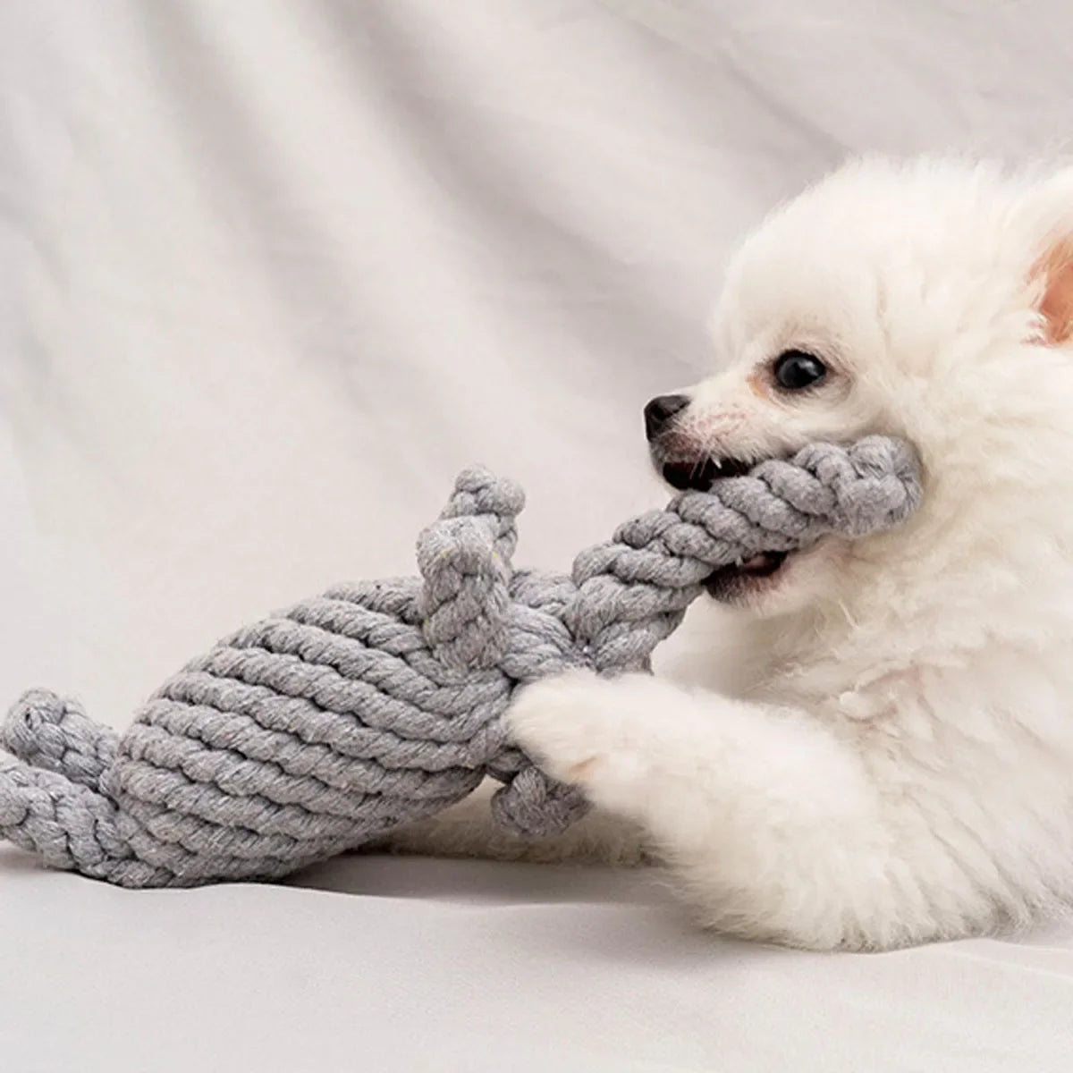 Hand-Woven Cotton Rope Dog Toy - Teeth Resistant Natural Chew