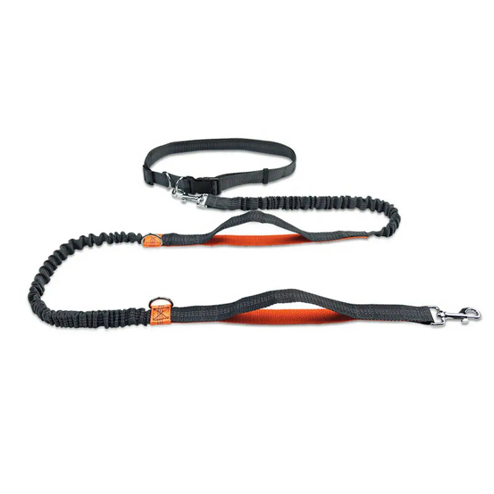 Reflective Dog Leash featuring a no-pull pet traction rope for better control during walks