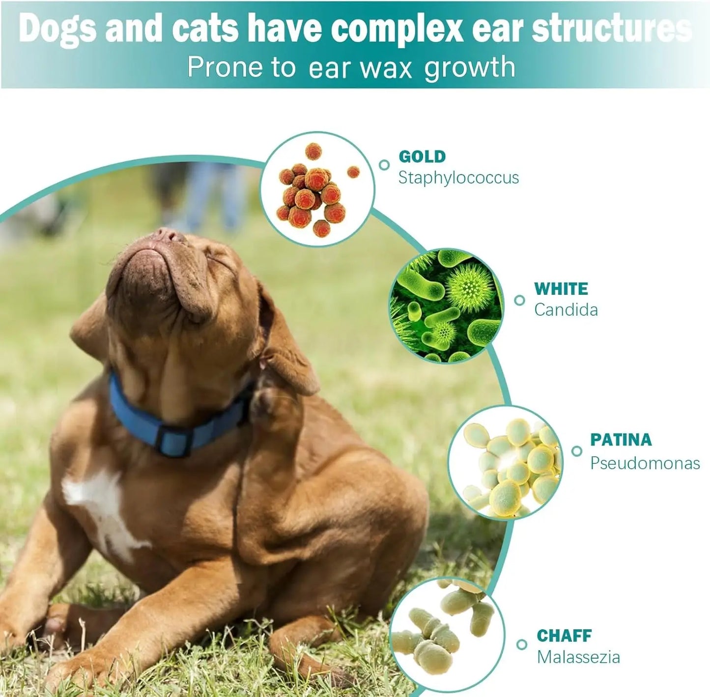 Pet Ear Wipes Dogs Cats Easy Otic Cleaning 🧻