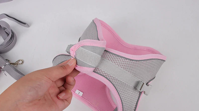 Small Dog Harness Set - Purrfect Pet Kingdom