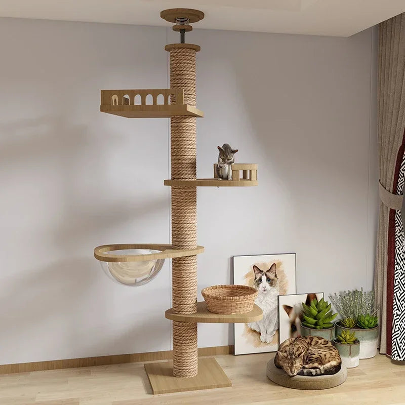 Multi Layer Solid Wood Cat Climbing Frame ๐ฑ