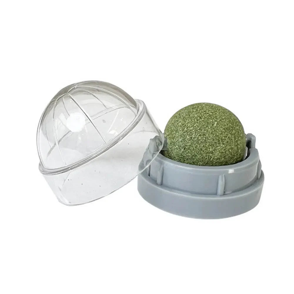 Catnip Wall Ball Treats Digestive Aid Fun ๐ฟ