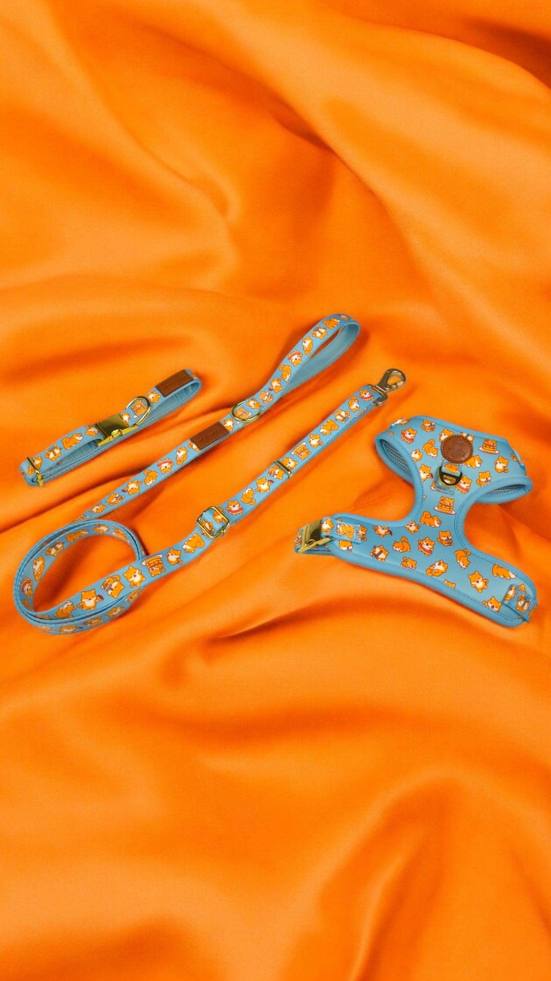 Dog Collar Shiba Inu Pattern Adjustable Padded ๐