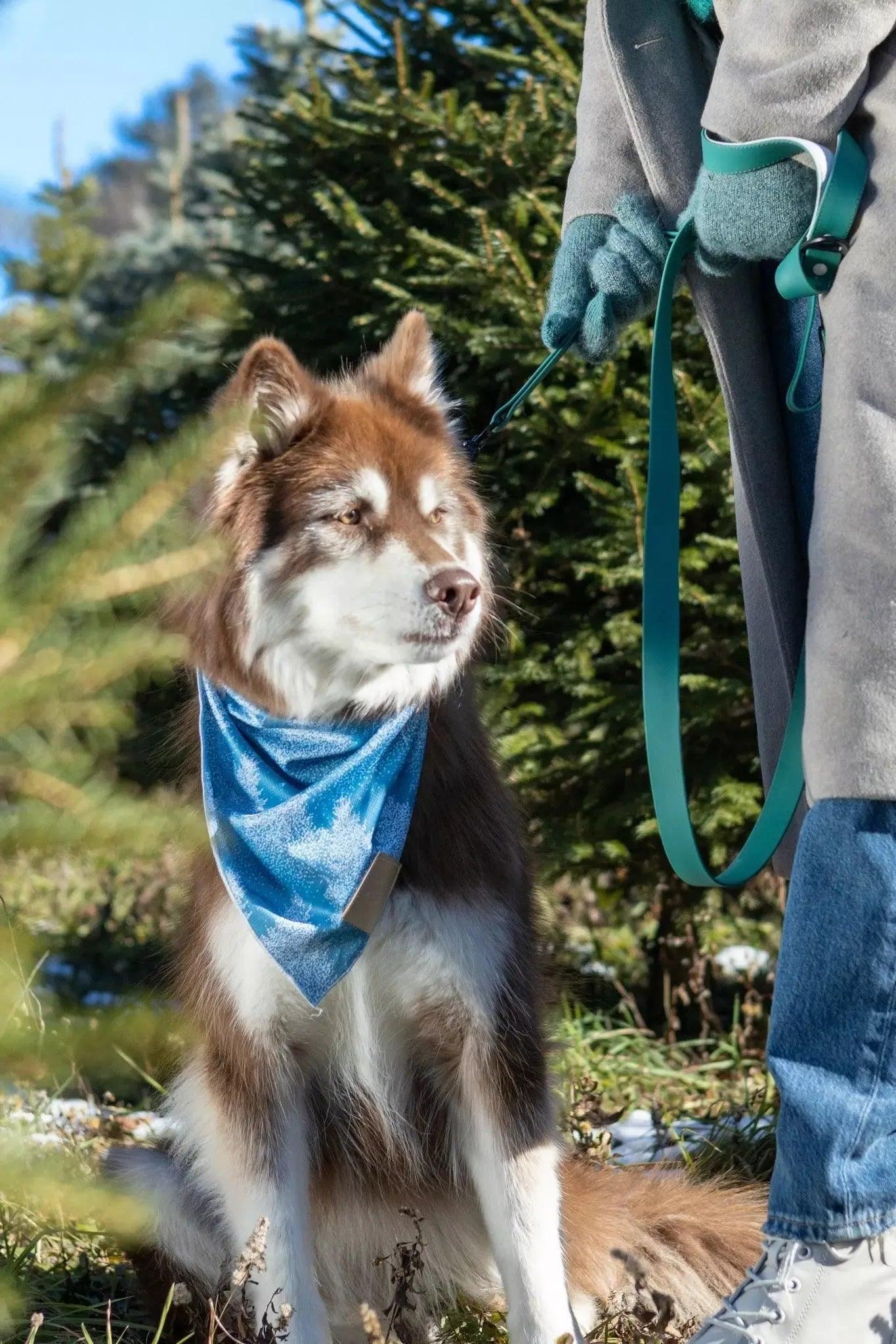 Siberian Spruce Dog Bandana - Purrfect Pet Kingdom