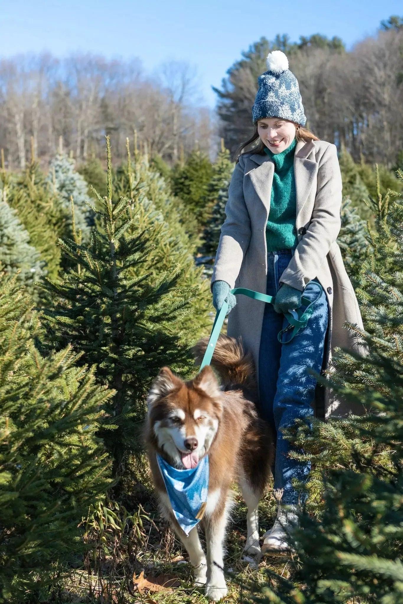 Siberian Spruce Waterproof Dog Leash - Purrfect Pet Kingdom