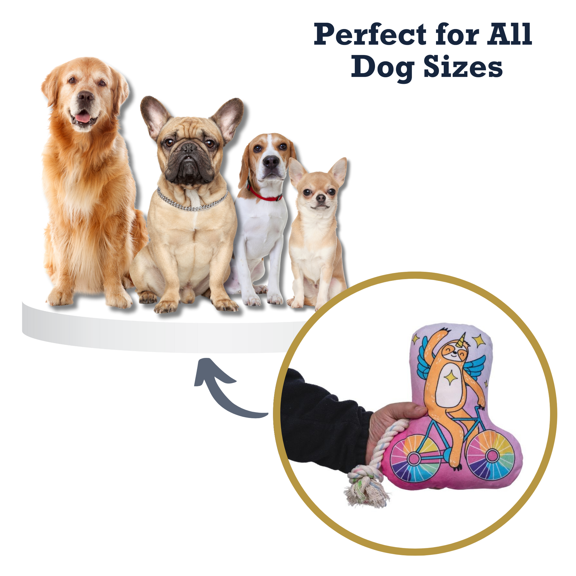 Slow Biker Plush Dog Toy – with Squeaker & Crinkle Paper for Fun Play - Purrfect Pet Kingdom