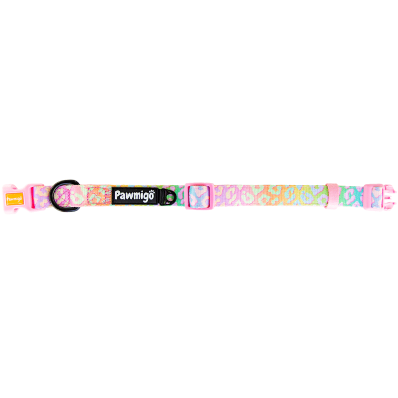 Slumber Pawty Classic Collar - Dog Harnesses - Pawmigo