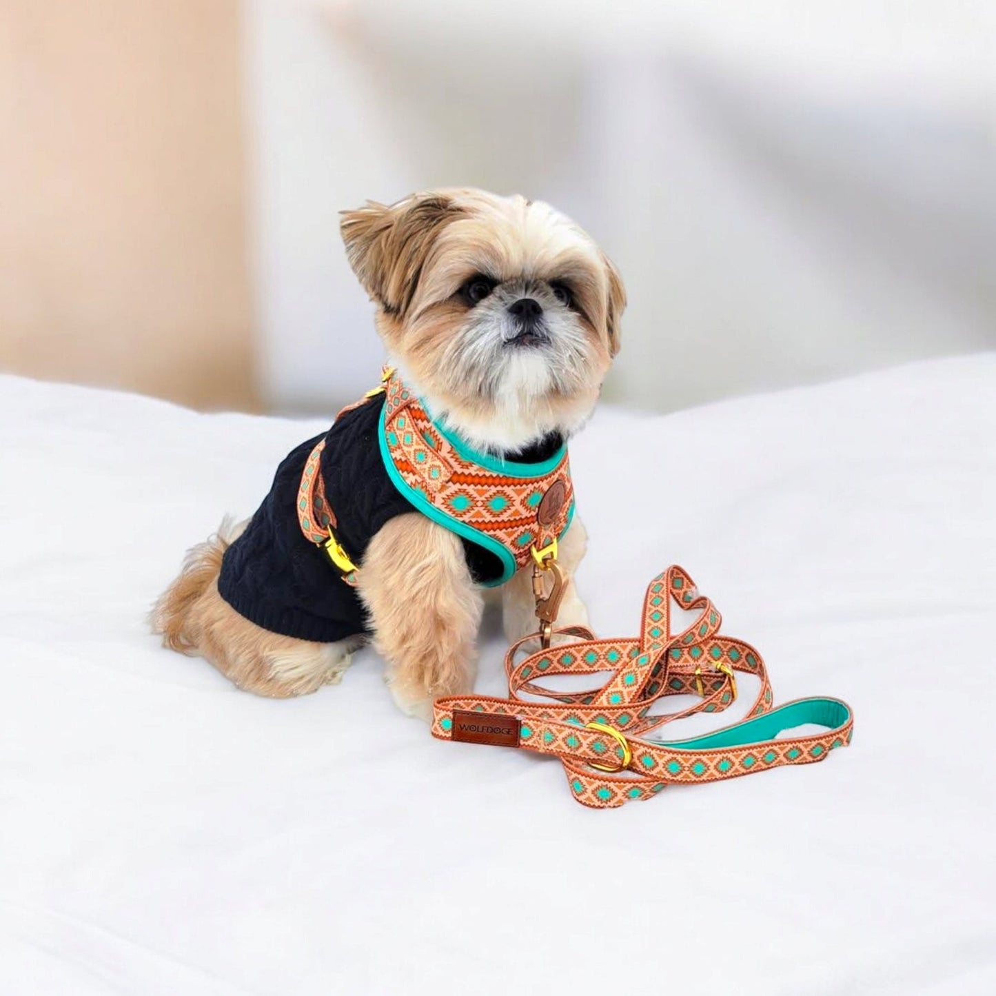 Southwest Spirit Leash - Purrfect Pet Kingdom