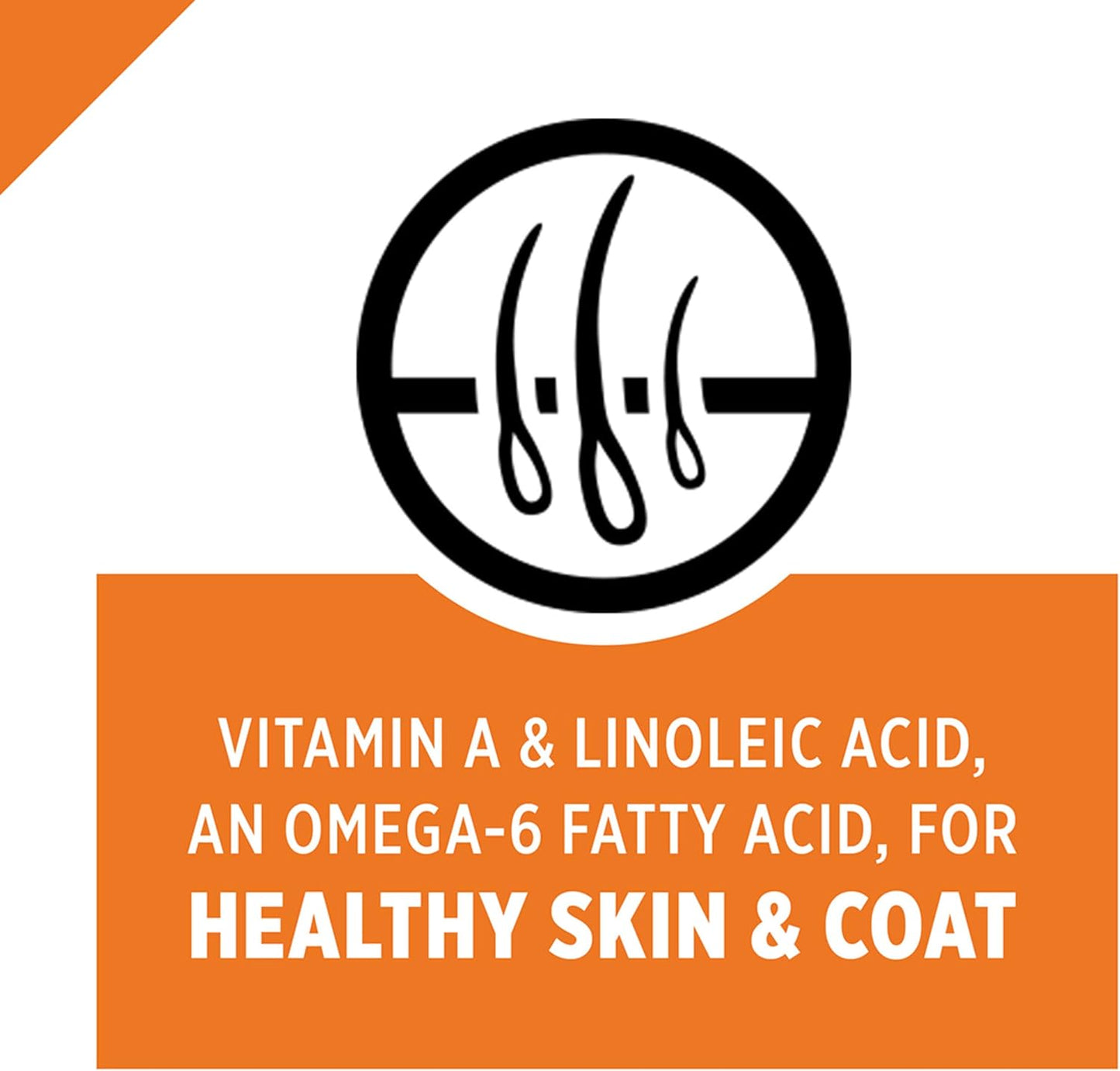 Pro Plan Turkey & Rice Entree In Gravy Cat Food (3oz)