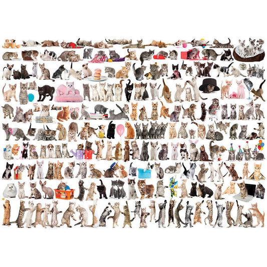 The World of Cats 1000 Piece Jigsaw Puzzle Eurographics