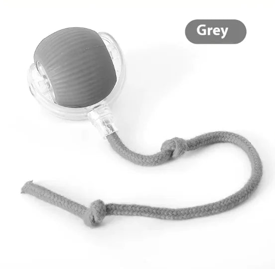 Interactive Cat Toy Ball Super Drive Cat Rolling Balls With Bird Chirping Motion Activated Sensor Pets Kitten Teaser Game Toys Pet Products - Mimarta