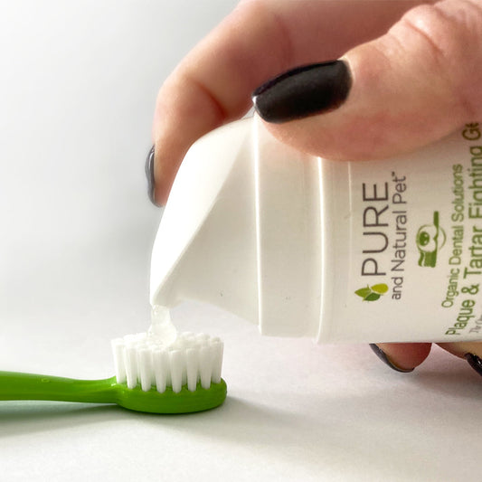 Plaque & Tartar Fighting Gel for Dogs (Clean Mint) - Organic Dental Solutions - detail view
