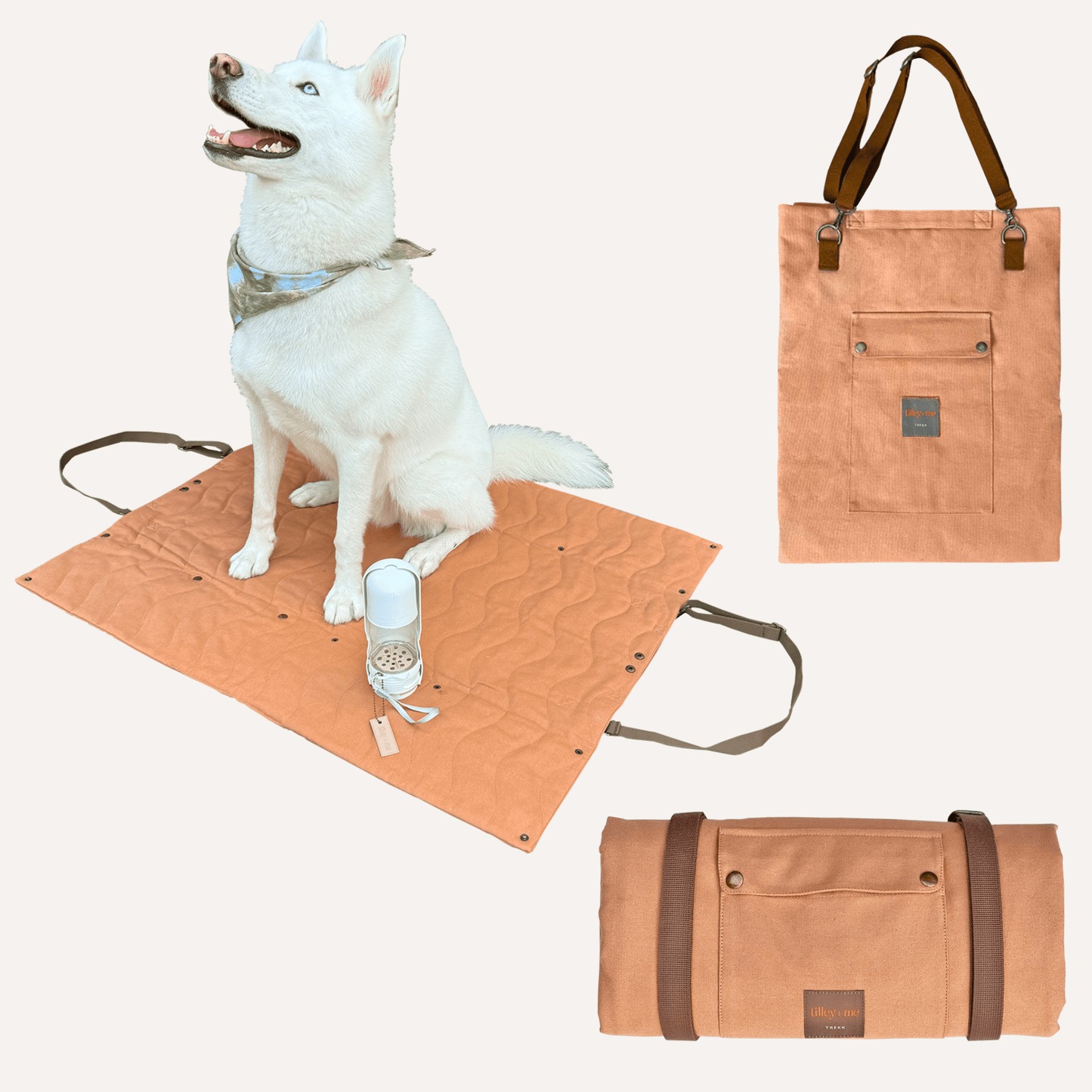 Convertible Dog Bag - Portable Travel Mat Bag for Pet Owners