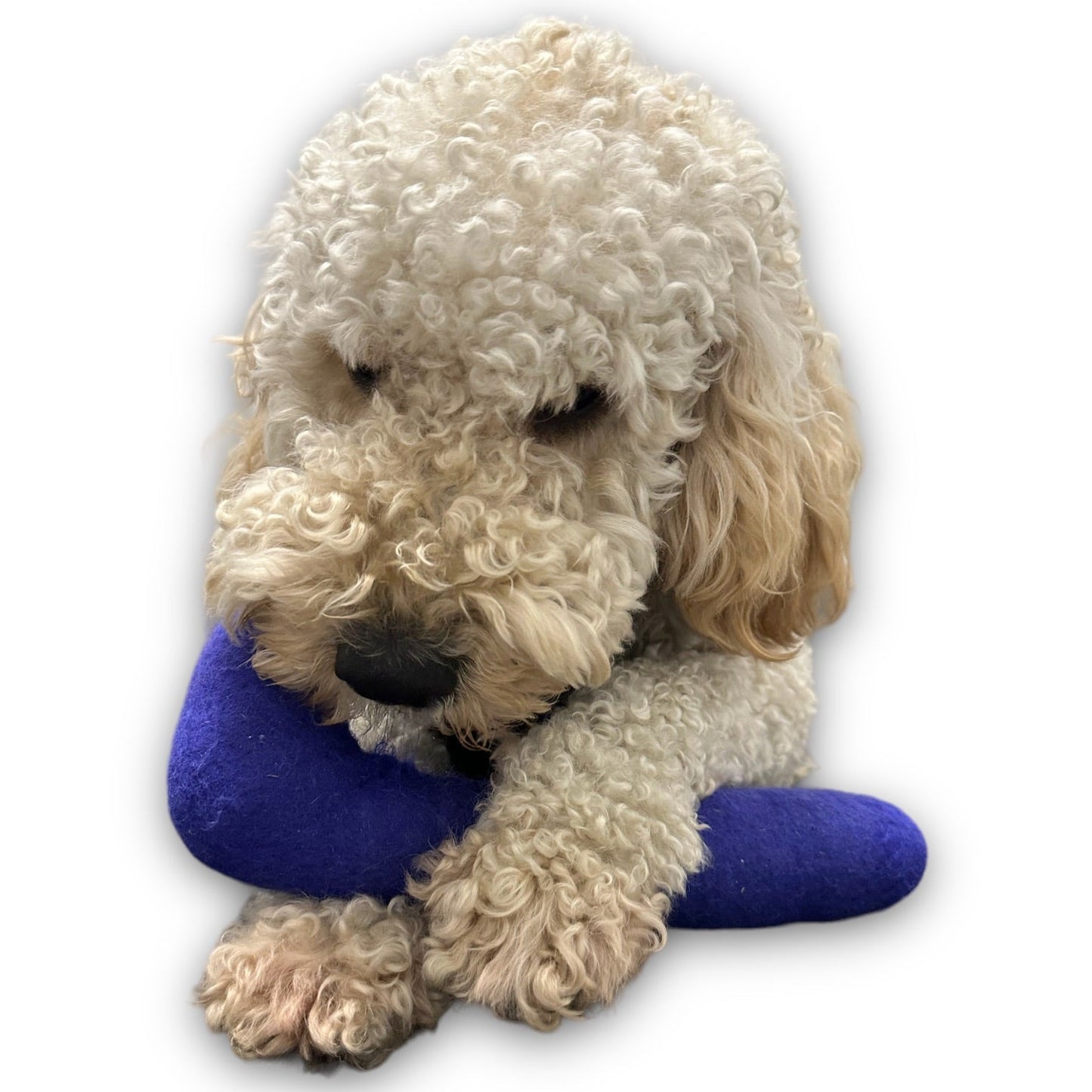 Tube Felt Dog Toy - Dog Toys - Come Here Buddy